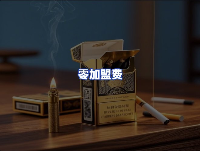 专业团队